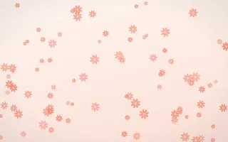 Sorbet Daisies III — light red, orange and white floral background, variation III