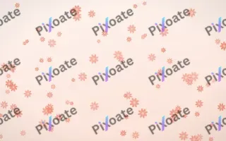 Sorbet Daisies III — light red, orange and white floral background, variation III