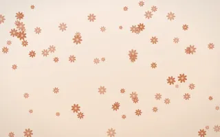 Terracotta Daisies — light orange and beige floral background