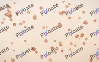 Terracotta Daisies — light orange and beige floral background