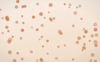 Terracotta Daisies III — light orange and beige floral background, variation III
