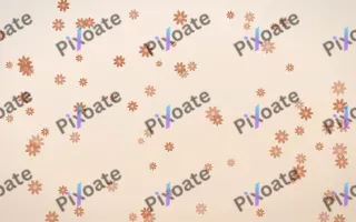 Terracotta Daisies III — light orange and beige floral background, variation III