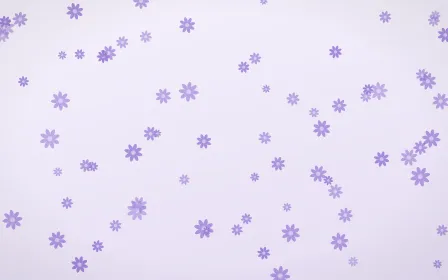 Wisteria Daisies — light purple and white floral background