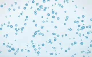 Arctic Frost Blooms Dense — light blue and white floral background