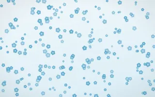 Arctic Frost Blooms Dense II — light blue and white floral background, variation II