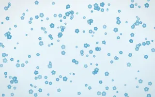 Arctic Frost Blooms Dense III — light blue and white floral background, variation III