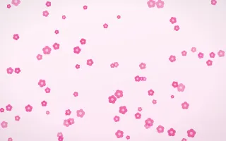 Blush Blooms Blush Blooms — light pink and white floral background