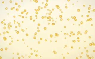 Buttercream Blooms Dense — light gold, yellow and white floral background