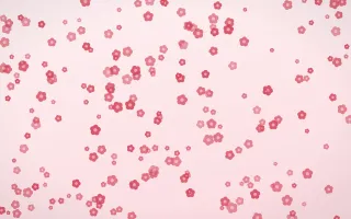 Cherry Soda Blooms Dense — light red and white floral background