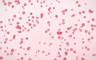 Cherry Soda Blooms Dense II — light red and white floral background, variation II