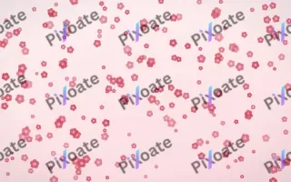 Cherry Soda Blooms Dense III — light red and white floral background, variation III