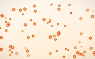 Coral Blooms — light orange and white floral background