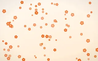 Coral Blooms III — light orange and white floral background, variation III