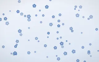 Denim Day Blooms — light blue and white floral background