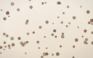 Espresso Blooms — light brown, orange and beige floral background