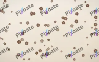 Espresso Blooms II — light brown, orange and beige floral background, variation II