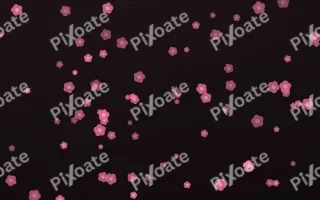 Flamingo Noir Blooms — dark pink and black floral background