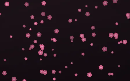 Flamingo Noir Blooms — dark pink and black floral background