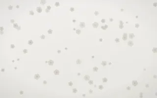 Fogline Blooms III — light grey, orange and white floral background, variation III