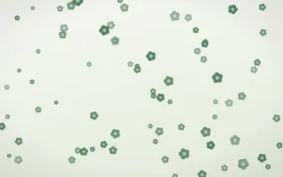 Forest Cream Blooms — light green and white floral background