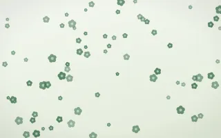 Forest Cream Blooms II — light green and white floral background, variation II
