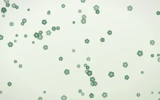 Forest Cream Blooms III — light green and white floral background, variation III
