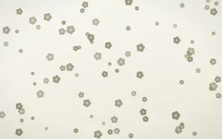 Fresh Linen Blooms — light yellow and white floral background