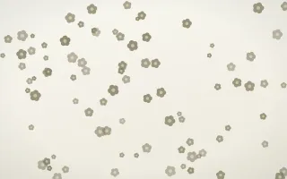 Fresh Linen Blooms III — light yellow and white floral background, variation III