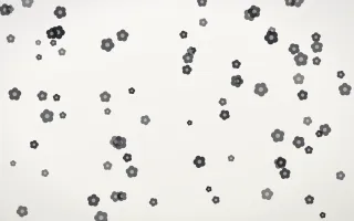 Inkline Blooms II — light grey and white floral background, variation II
