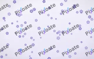 Lilac Frost Blooms — light blue and white floral background