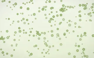 Matcha Latte Blooms Dense — light green and white floral background