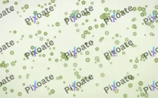Matcha Latte Blooms Dense — light green and white floral background