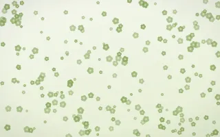 Matcha Latte Blooms Dense II — light green and white floral background, variation II