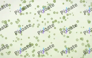 Matcha Latte Blooms Dense III — light green and white floral background, variation III