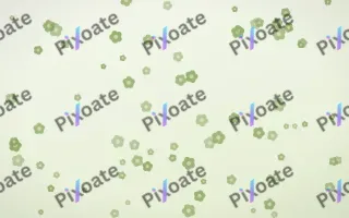 Matcha Latte Blooms II — light green and white floral background, variation II