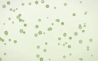 Matcha Latte Blooms III — light green and white floral background, variation III