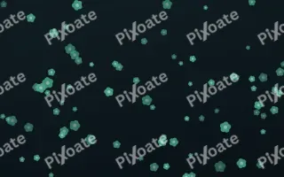 Midnight Garden Blooms — dark green and black floral background