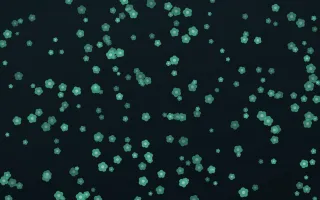 Midnight Garden Blooms Dense — dark green and black floral background