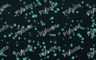 Midnight Garden Blooms Dense — dark green and black floral background