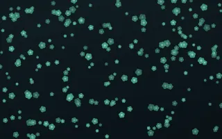 Midnight Garden Blooms Dense II — dark green and black floral background, variation II