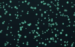 Midnight Garden Blooms Dense III — dark green and black floral background, variation III