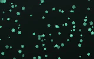 Mint Noir Blooms — dark green and black floral background