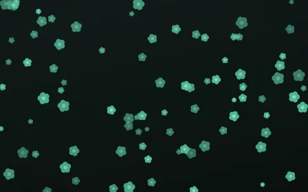 Mint Noir Blooms — dark green and black floral background