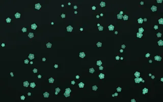 Mint Noir Blooms II — dark green and black floral background, variation II