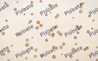 Mocha Milk Blooms — light orange and white floral background