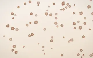 Mocha Milk Blooms II — light orange and white floral background, variation II