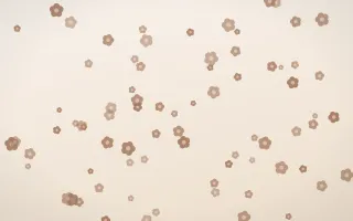 Mocha Milk Blooms III — light orange and white floral background, variation III