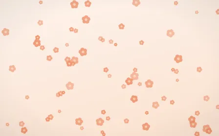 Peach Fuzz Blooms — light orange and white floral background