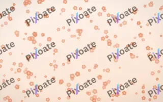 Peach Fuzz Blooms Dense III — light orange and white floral background, variation III