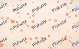 Peach Fuzz Blooms II — light orange and white floral background, variation II